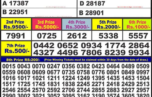 Download Result of Punjab State Dear 50 04-08-2022 Draw at 4:00Pm